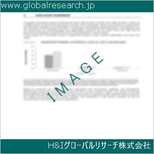 グローバルリサーチ調査資料のイメージ
